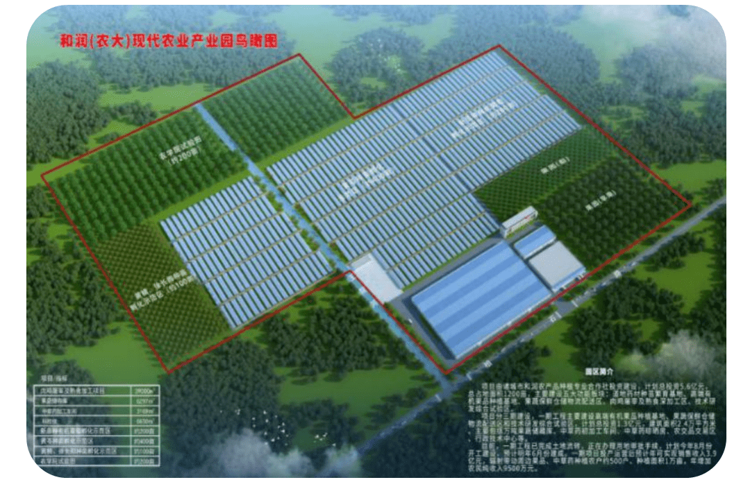 诸城市人口有多少_诸城市人民医院(2)