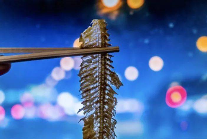 天后|悲剧！广州男子鱼刺卡喉拖延3天后呕血，扎破动脉不幸去世！鱼刺卡喉你做对了吗？