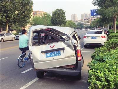 树木|行道树为何弱不禁风（图）