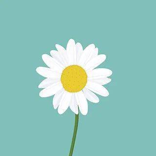 2020年世界避暑城市_我市入选新华大数据2020避暑城市榜单