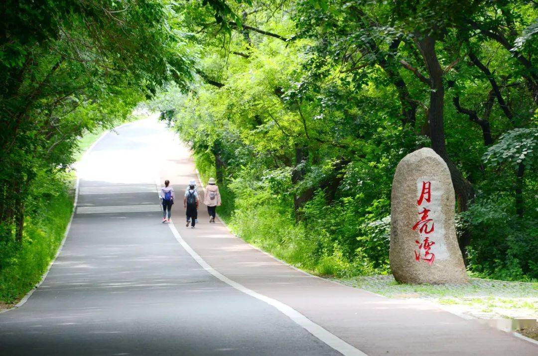 漫行净月潭!净享慢生活