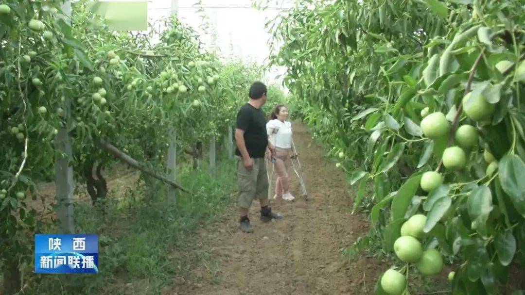 马宁|从卖水果到卖品牌 这位农家女唱响了线上销售经