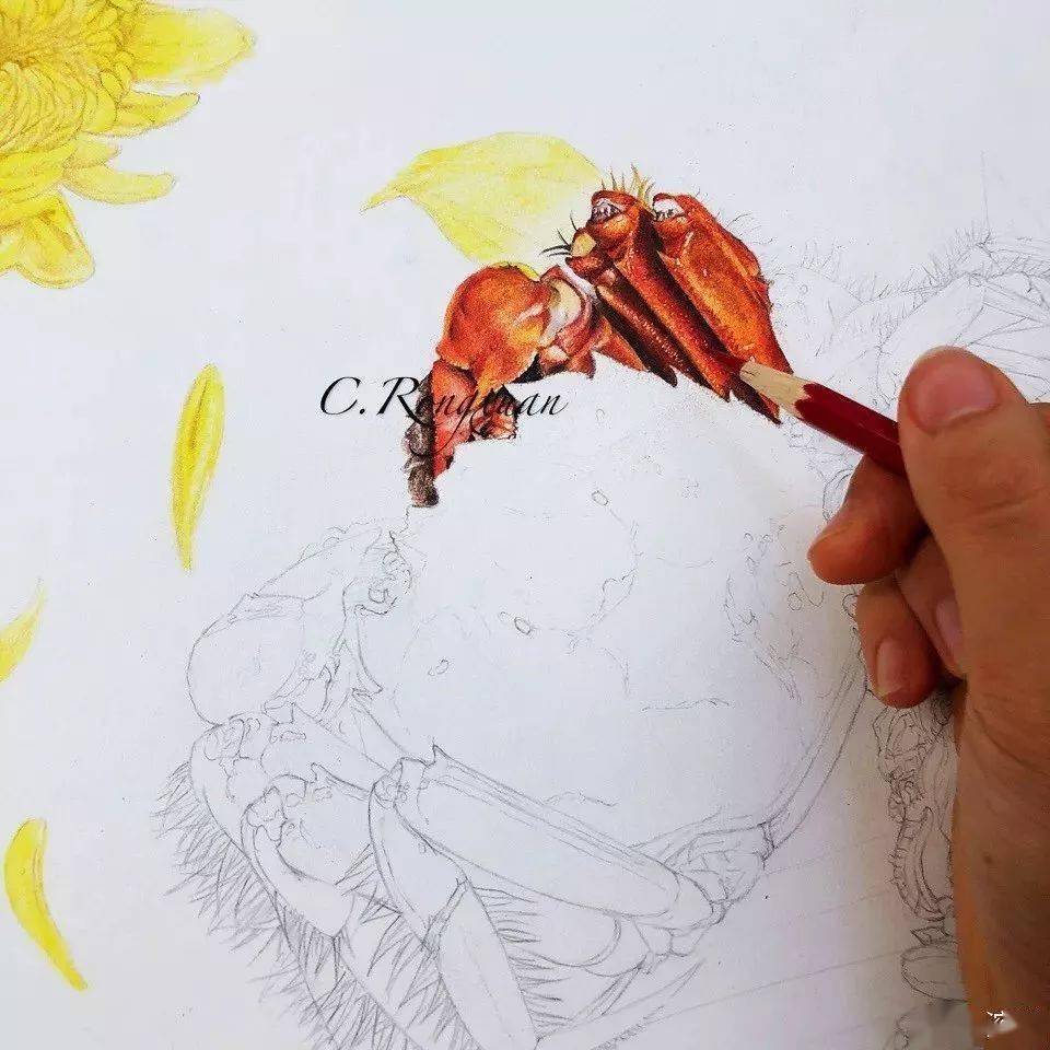 油性彩铅这样画,效果简直美炸!