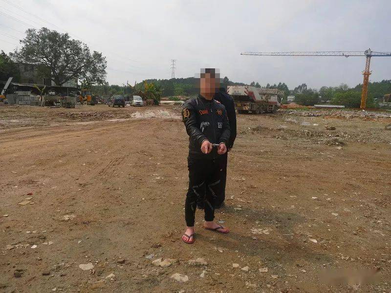 杨卅多少人口_城口多少人口(3)