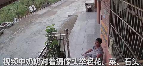 孙女|好暖！奶奶隔着监控和孙女分享日常 ：花花、菜菜和石头