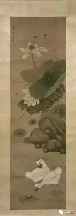 白鸭|【探索】上海豫园迎来到四只“珍稀古禽”，大家来看鸭！