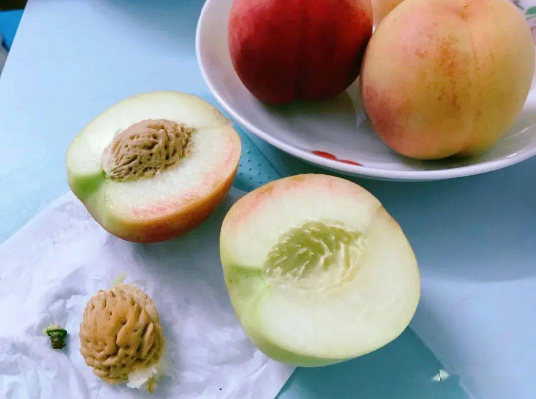 桃子怎么腌制好吃 168db9eeb6c046208babda08a34651d4.jpeg