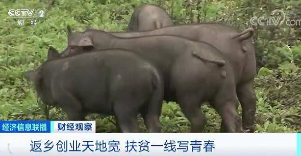 奶奶|火了，乘风破浪的奶奶！80岁直播带货，一天卖出1万元！