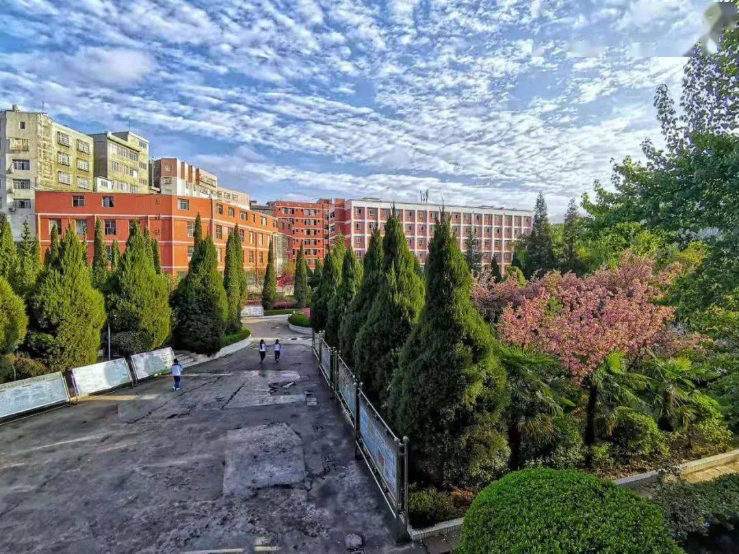 镇雄县2020年GDP_镇雄县地图(2)