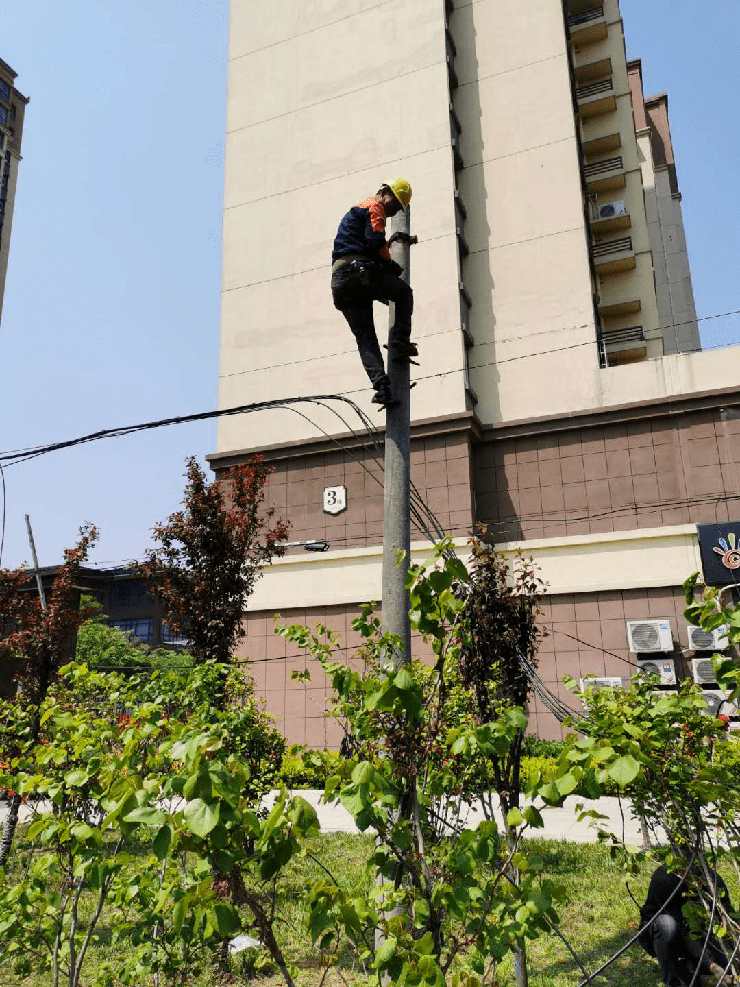 无锡查桥镇 人口_无锡人口分布图