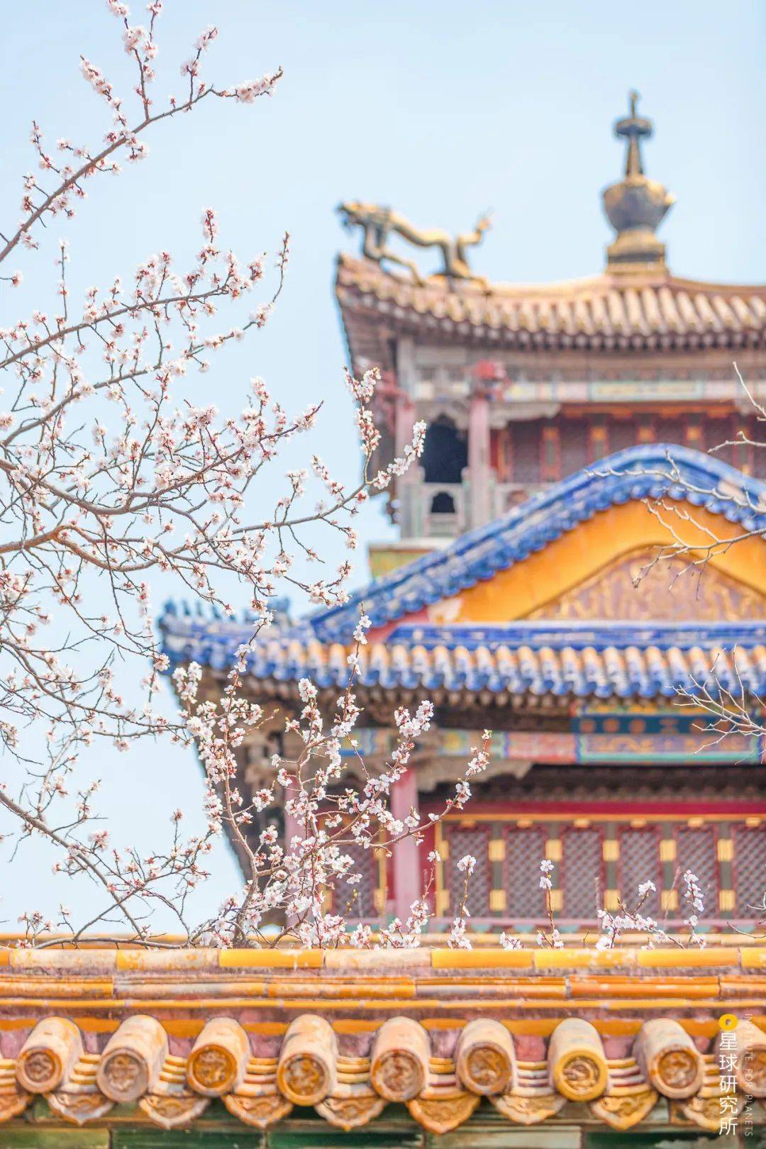 宫殿|600岁的故宫，有什么？