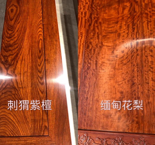 红木知识丨教你轻松分辨大果紫檀与刺猬紫檀