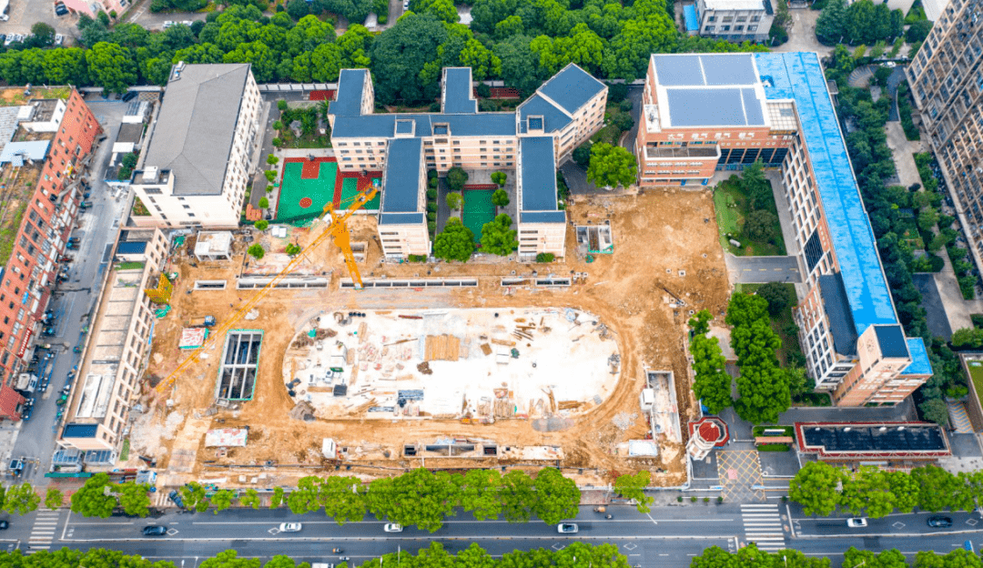 人均小学面积_人均耕地面积图