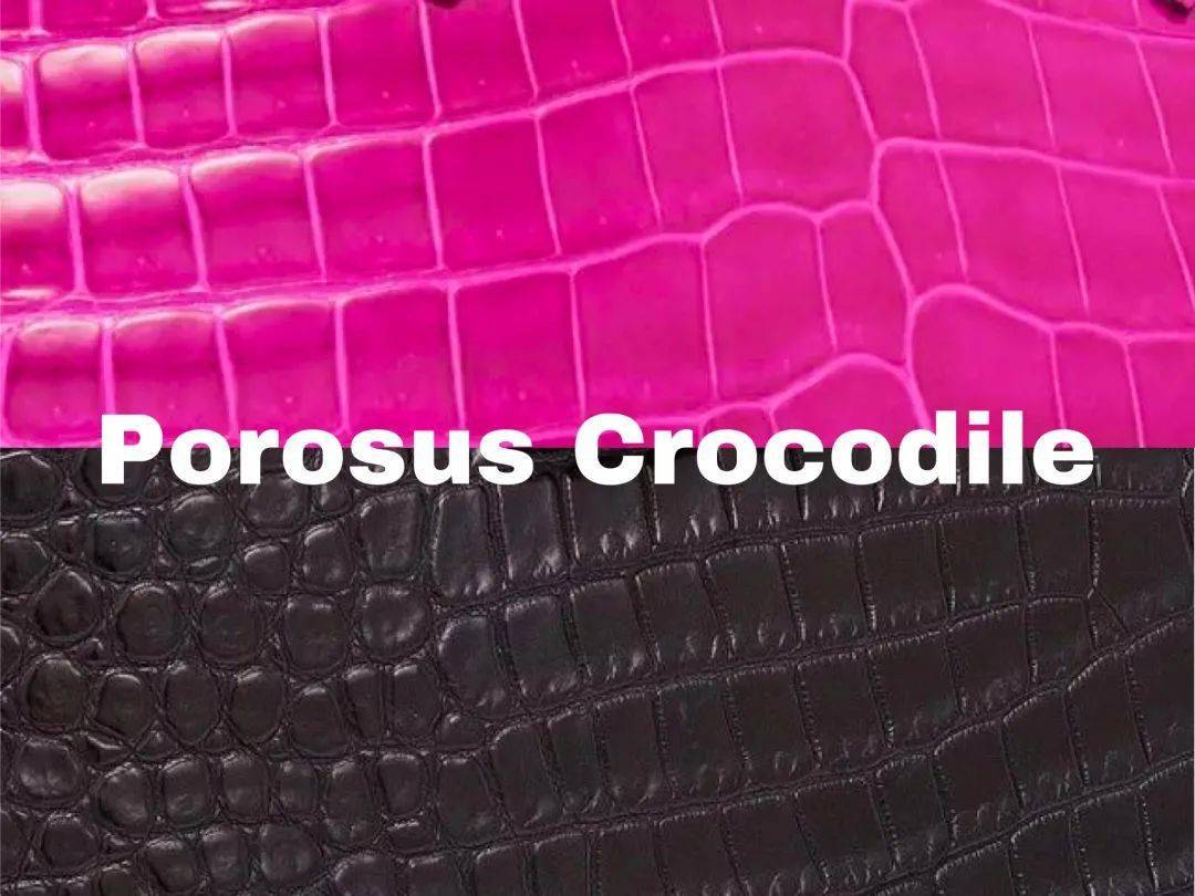 dream|一分钟带你看完人人都想要的“dream bag” — HERMES Kelly