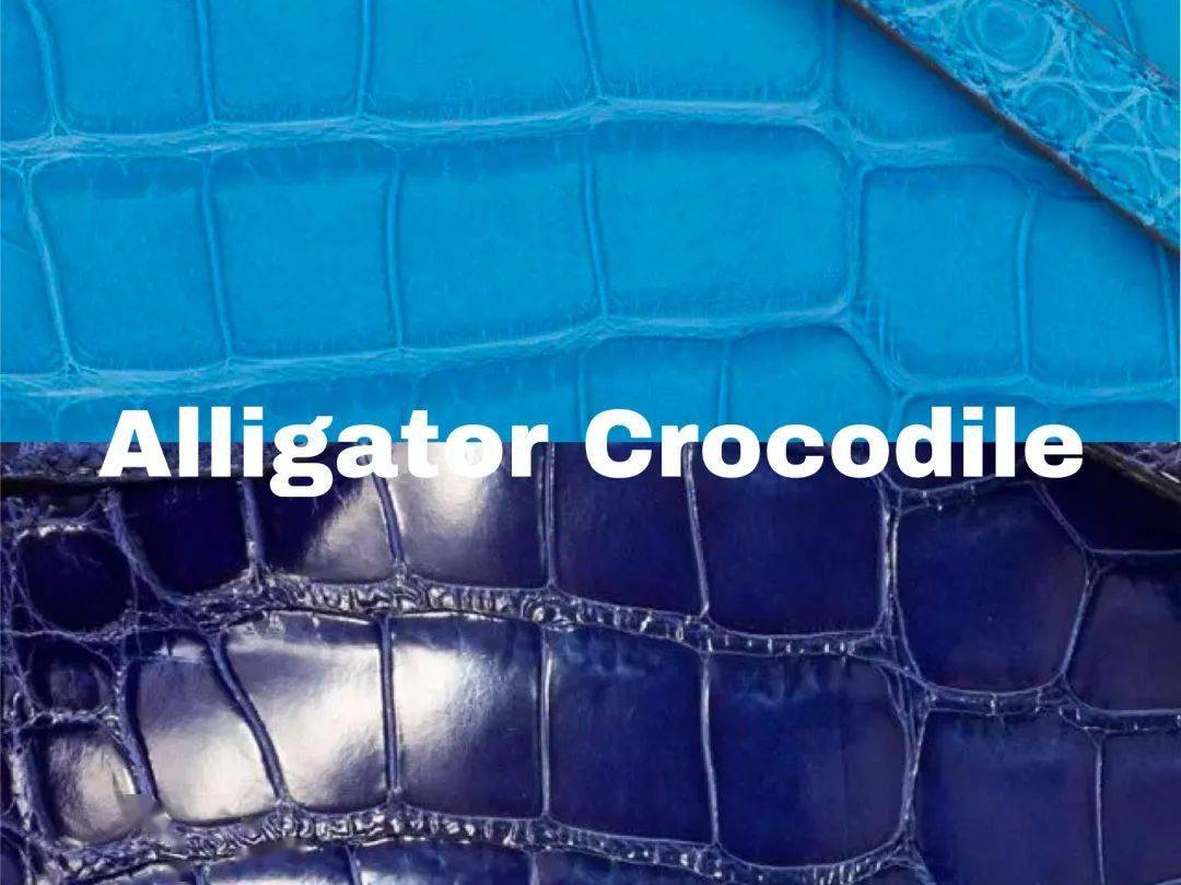 dream|一分钟带你看完人人都想要的“dream bag” — HERMES Kelly