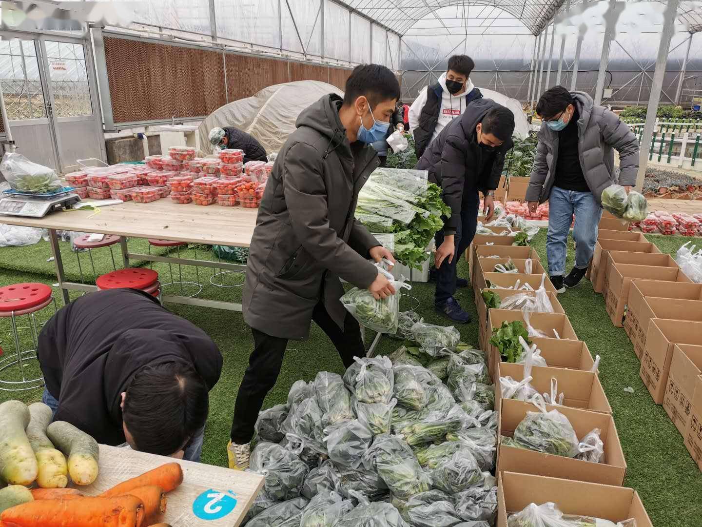 岱岳区|电商经济成为岱岳区经济发展新“引擎”