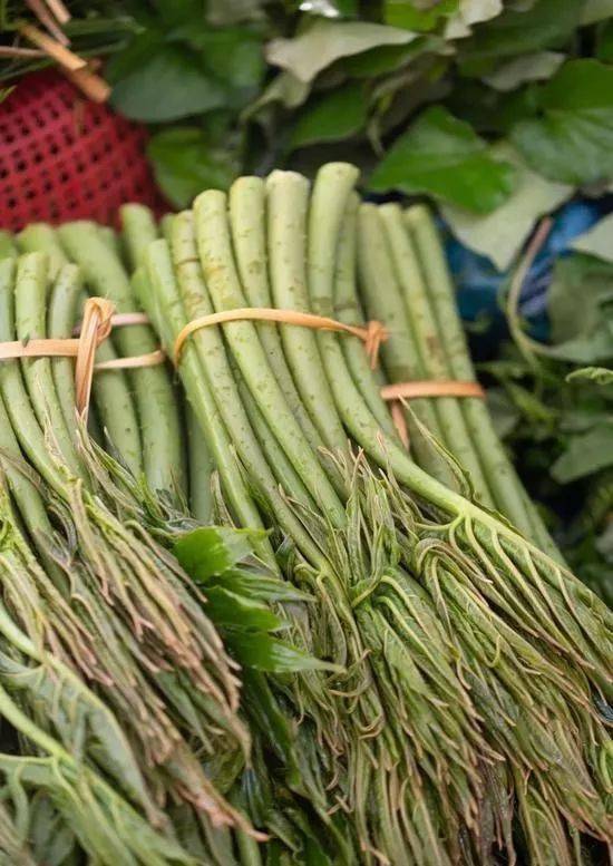 热带雨林|还好吃!【逛吃】西双版纳不仅美