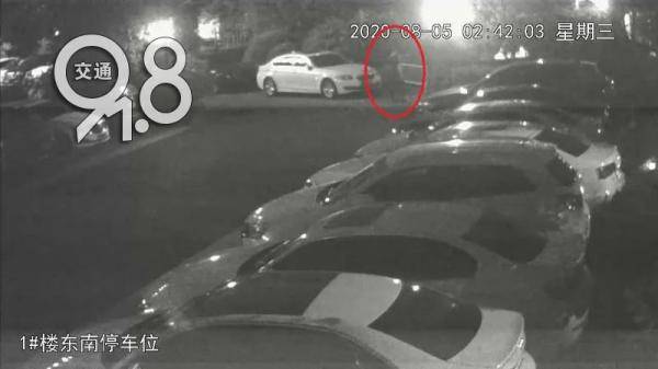 知己|杭州一男子为了红颜知己，拿把小刀凌晨偷偷干这事！