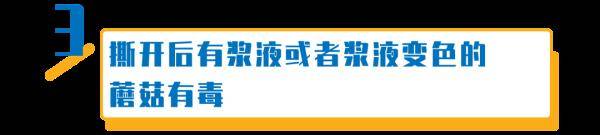 杨维涵|云南人吃菌等级考试