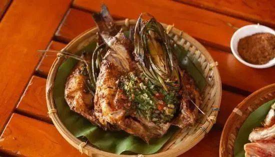 热带雨林|还好吃!【逛吃】西双版纳不仅美