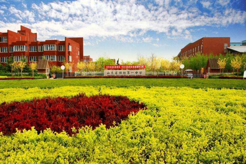 潍坊|潍坊中心城区三所公办高中指标生录取标准出炉