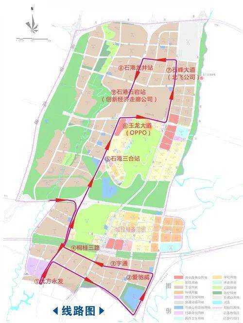 石岩GDP_石岩姜(2)