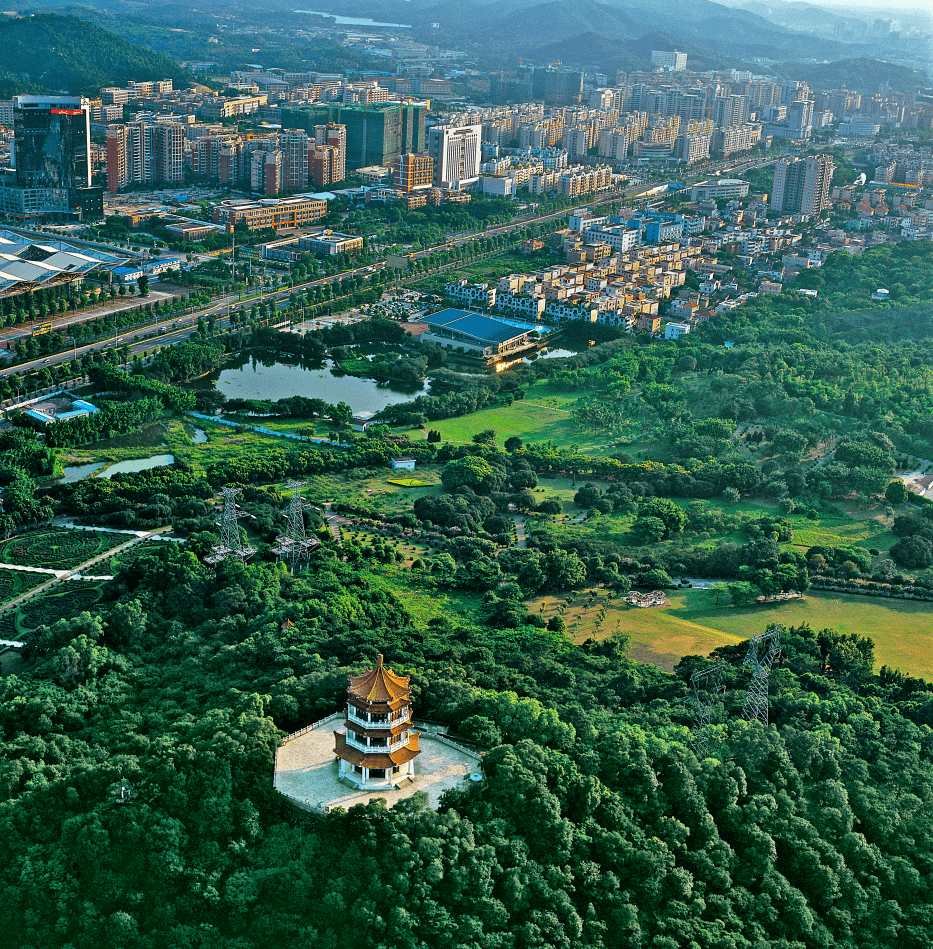 看三乡美景!这条全域旅游公交专线开通啦_中山