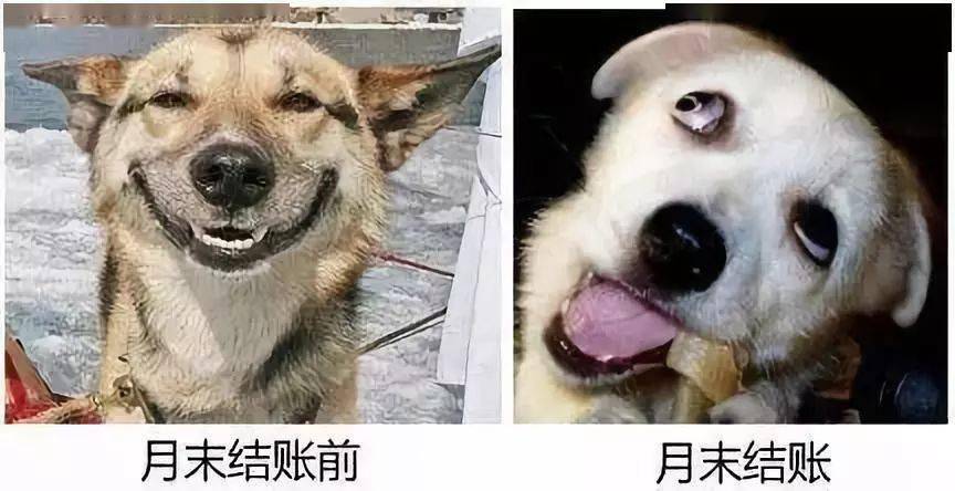 ae8d674f0ea148a39187ccad98be5fdf.jpeg