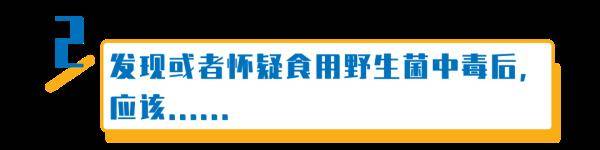 杨维涵|云南人吃菌等级考试