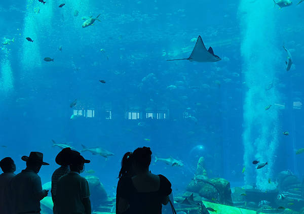 海南|跨省游首月动态：亲子游火爆，海南三亚稳居热门目的地榜首