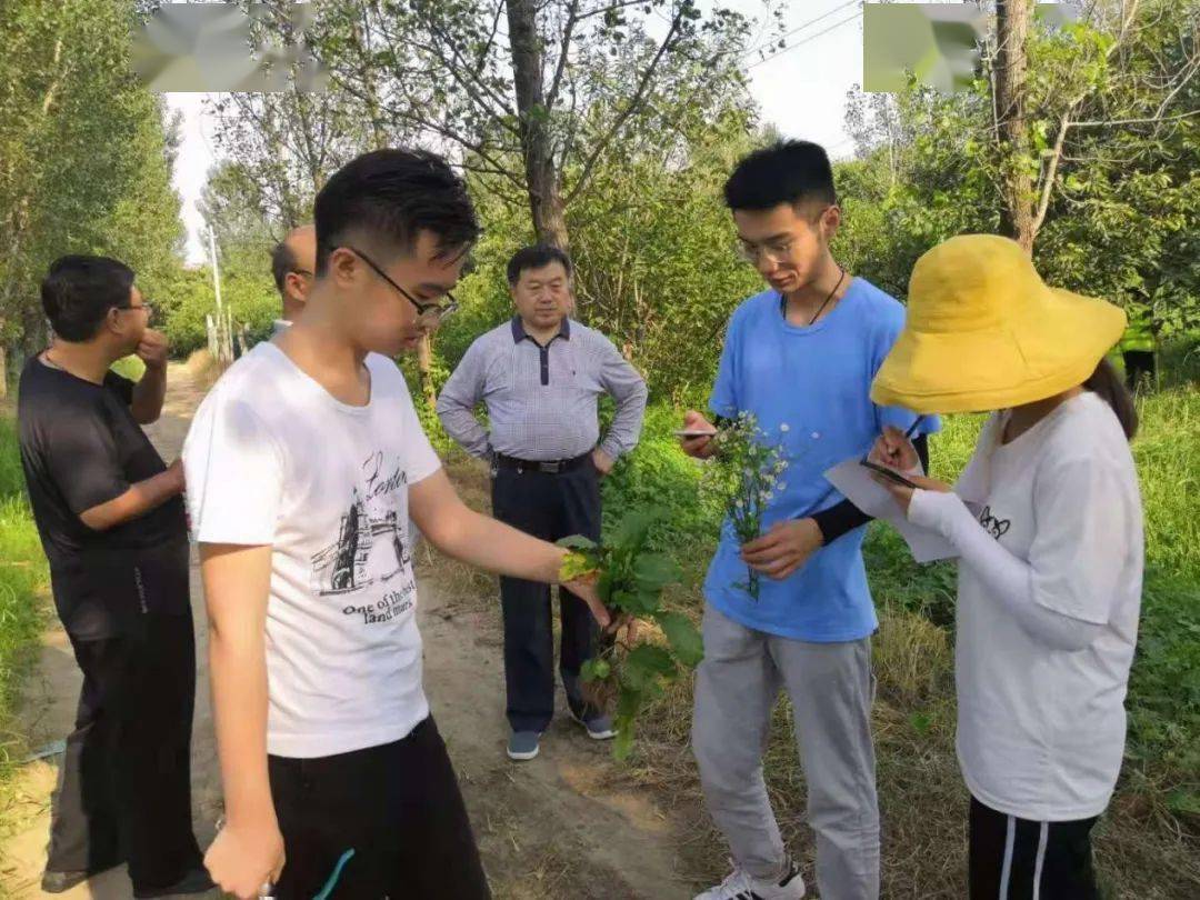 观唐村人口_观唐别墅