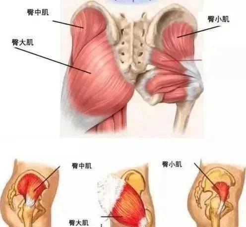 屁股疼痛怎么办