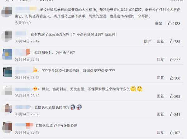 阿黄|痛心！老校长刚退休，养了5年的流浪狗被保安杀害了