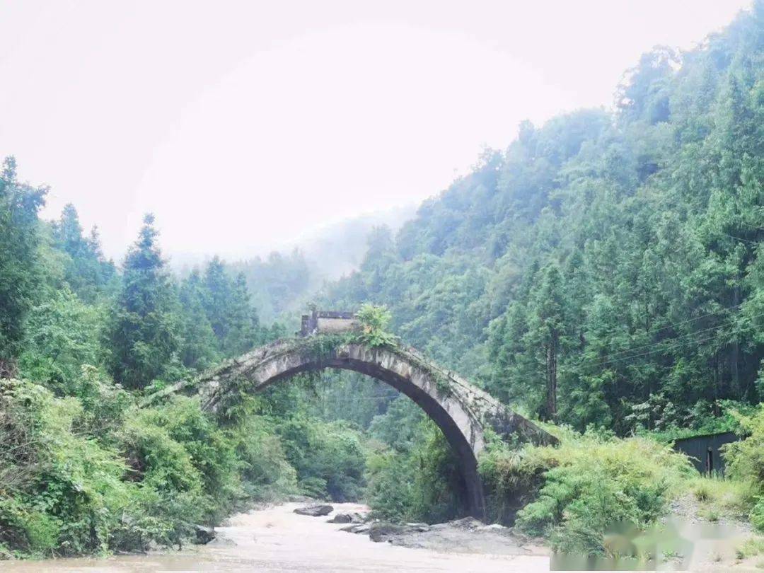 雨后, 万物携带甘霖雨露,从睡梦中醒来, 在清晨绽开笑靥!