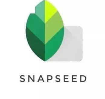 技巧|4个技巧，让照片好看100倍