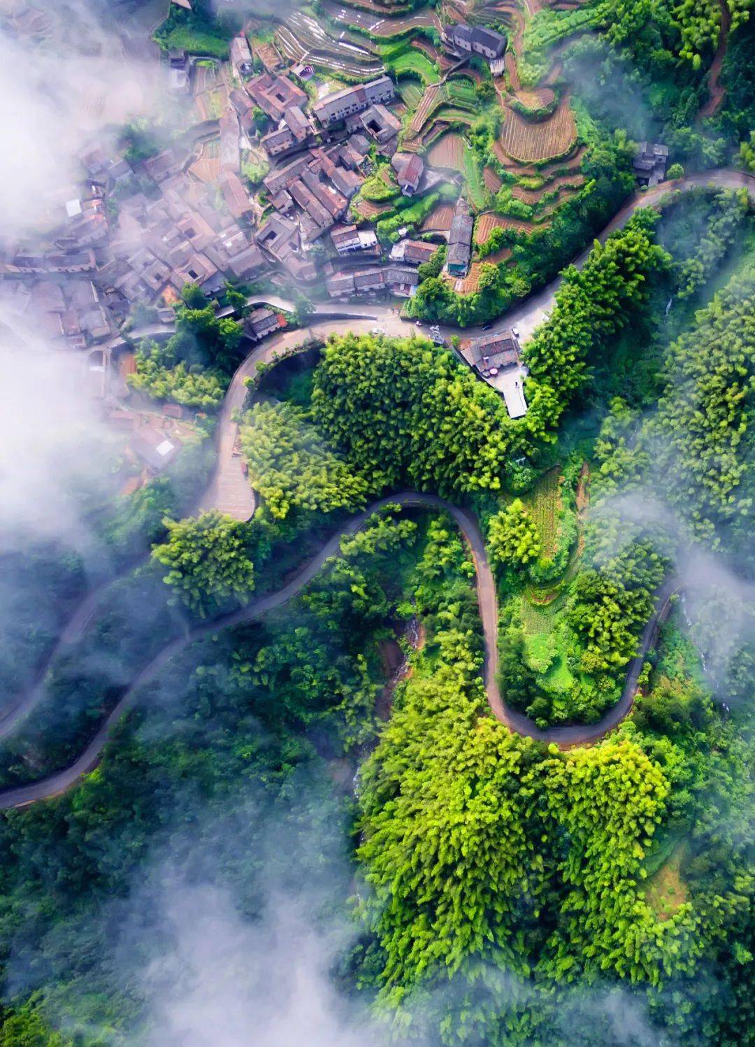 你见过这样的丽水吗?每一帧都是风景画!