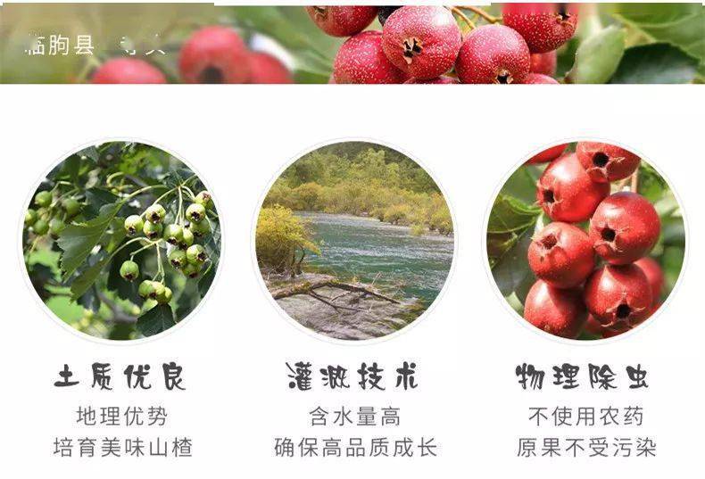 老少|零添加,酸甜适口,全家老少都爱吃的美味零食!天然山楂怡块