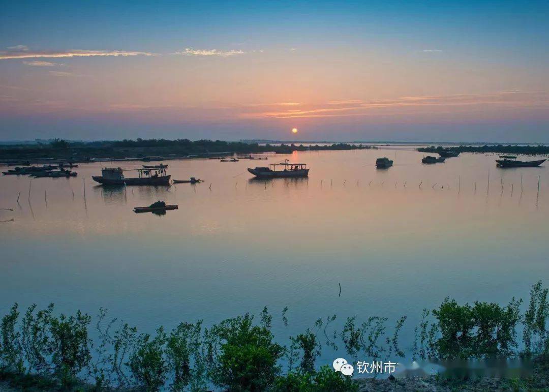 到钦州来,迎接海洋的恩赐