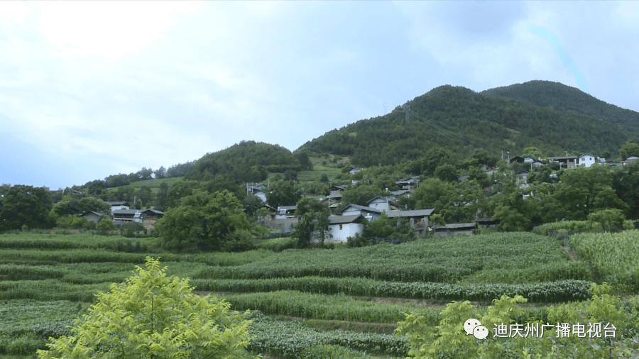 白济汛乡人口_白济汛地图