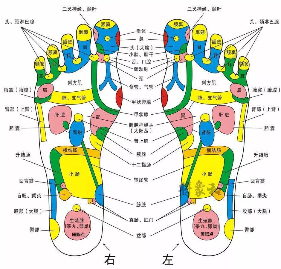 这个小动作竟然可以赶跑胃病和赘肉,你一定想不到!