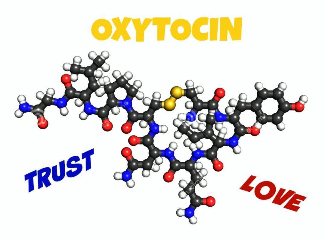 催产素|爱情激素可治疗老年痴呆