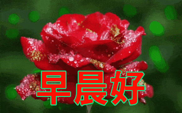 afb2d21d4ae04150be9aafb7711105a5.gif