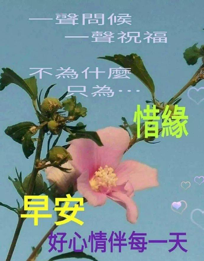 秋季早安问候图片带字带祝福语 温馨的早上好问候短语