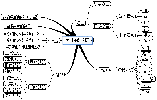 初一同步学暑期预习规划七年级生物上册思维导图