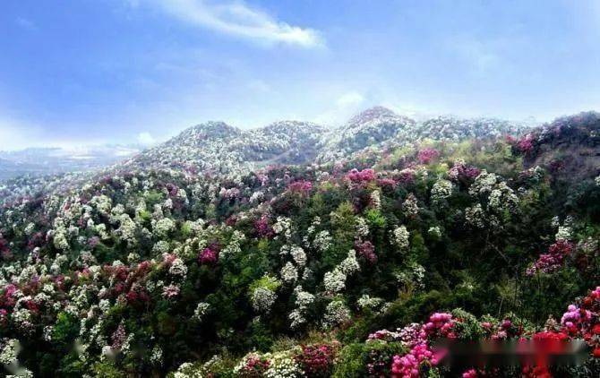 2021年贵阳gdp多少钱_2021年贵阳观山湖灯会(3)