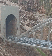 手机|看完别人的暑假，手里的手机突然不好玩了…