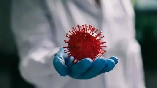 波兰 2019 gdp_波兰球(3)