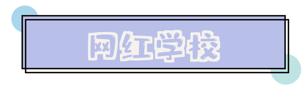 孔雀|又上热搜了！工商学院网红体质石锤！