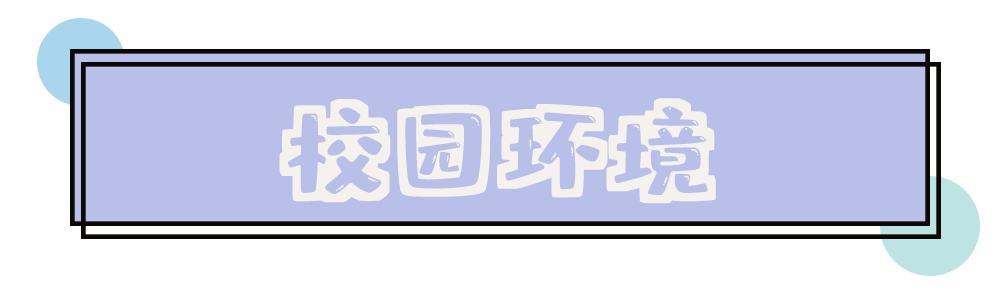 孔雀|又上热搜了！工商学院网红体质石锤！