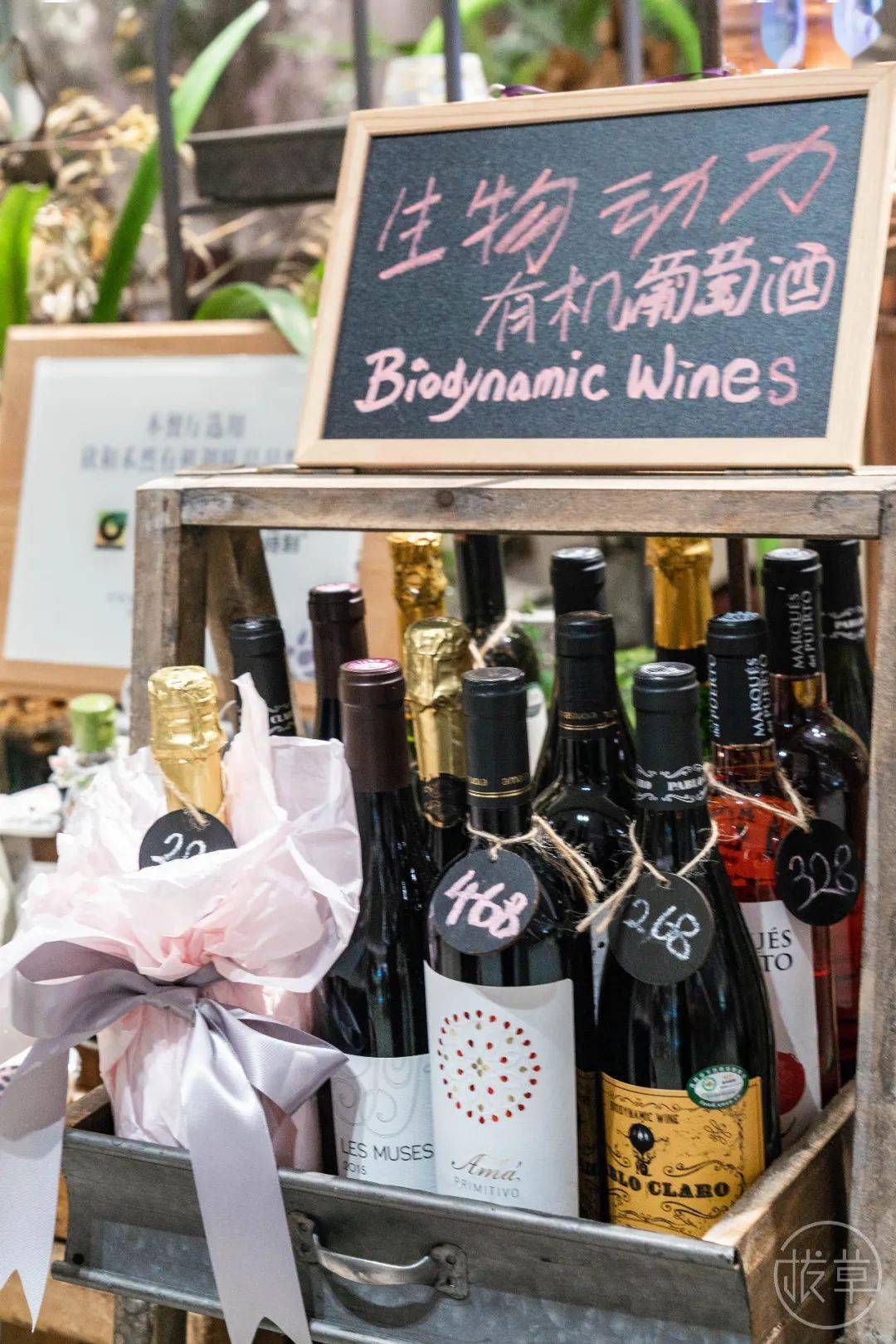 植物园|魔都也有了！帝都刷屏的“植物园餐厅”